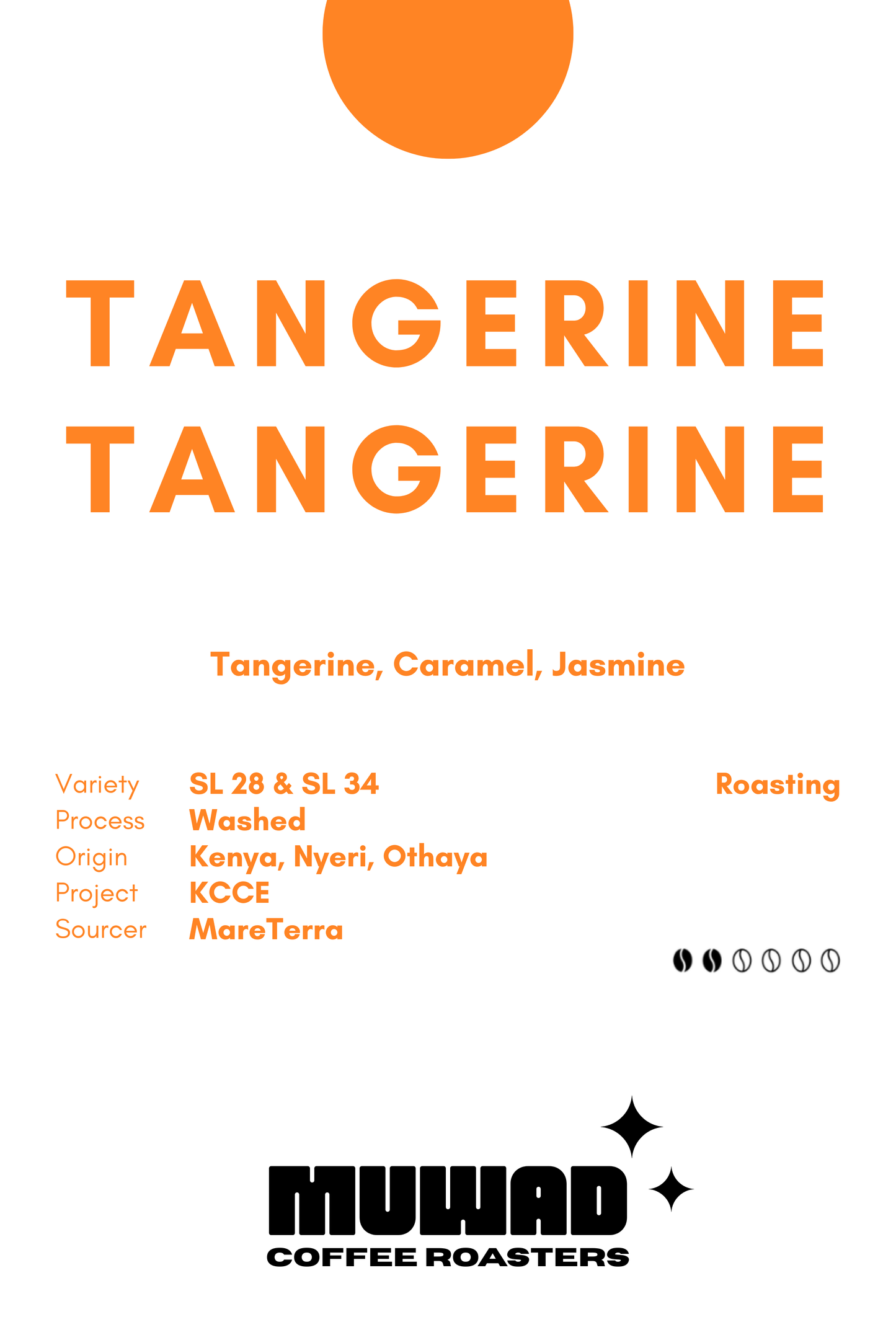 Coffee beans | Kenya Washed