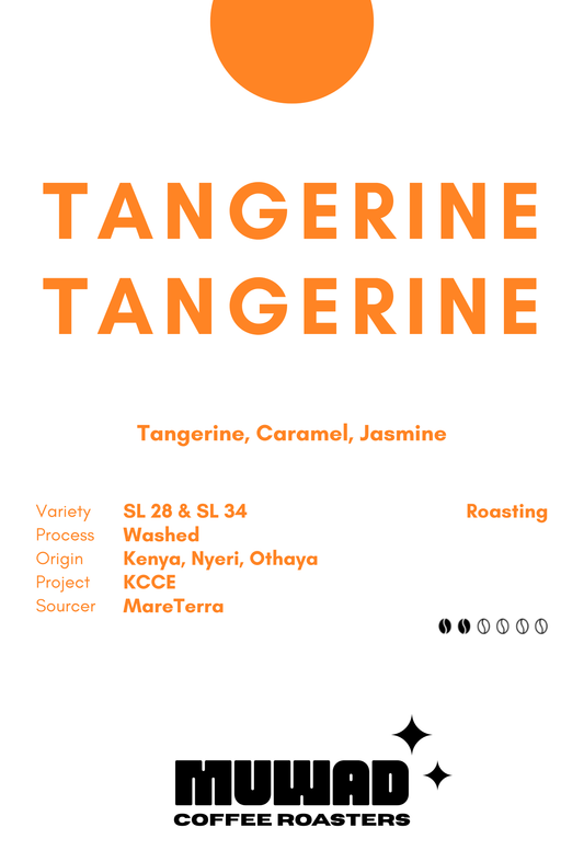 Coffee beans |  Kenya Washed